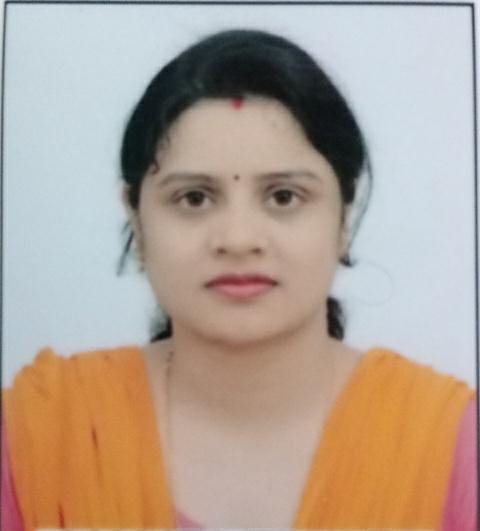 शासकीय और पारिवारिक जिम्मेदारी संभालते हुए डा ममता ने CGPSC में सफलता प्राप्त की।
